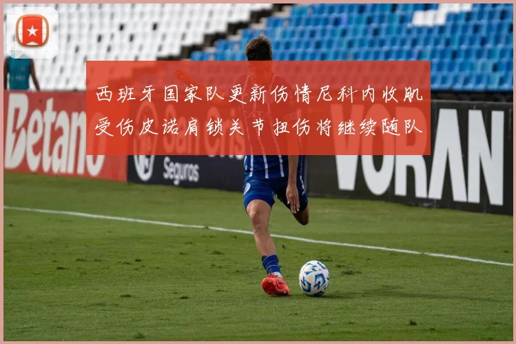 西班牙国家队更新伤情尼科内收肌受伤皮诺肩锁关节扭伤将继续随队训练